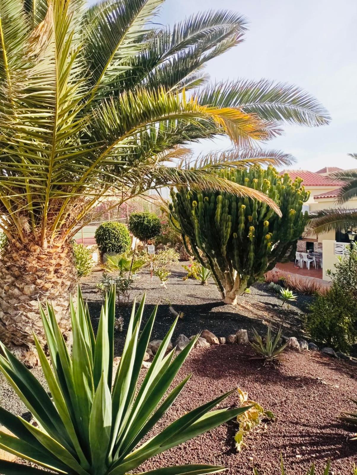 Casa La Pepita Las Lomas 117 Caleta De Fuste Esterno foto